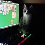 Annetta Wilkinson Profile Picture